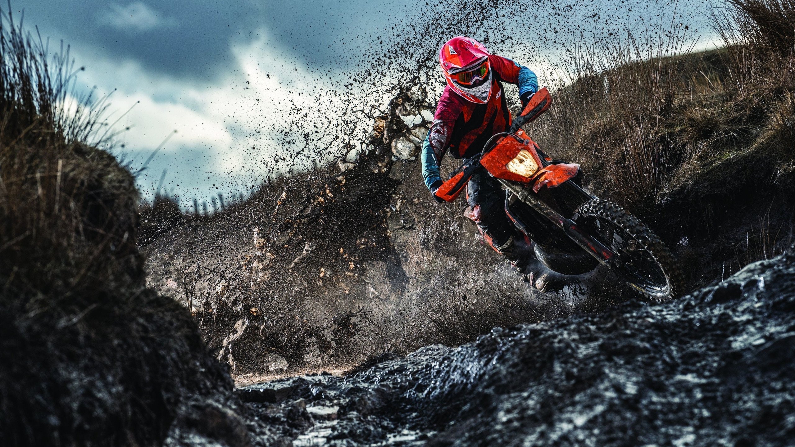 _星辰瑜伽大道：在星空下冥想、放松_，星空亲子瑜伽